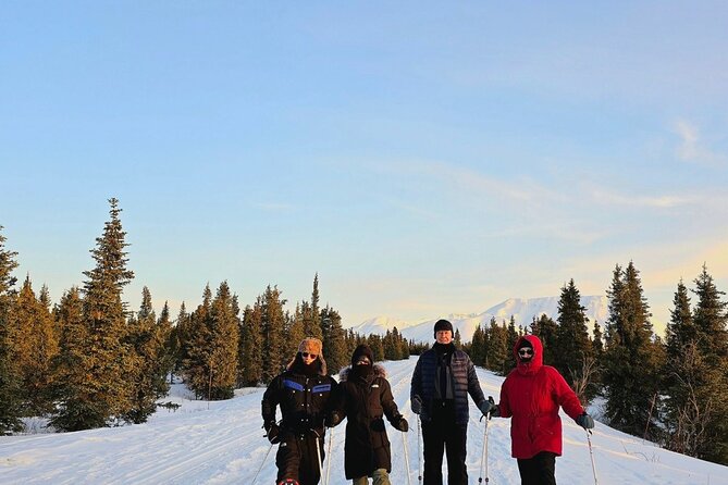 Denali National Park Plus Aurora Chase Tour - Who will get the most from this outing?