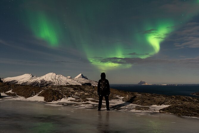 eBike Northern Lights tour by the bonfire - Who will enjoy this most