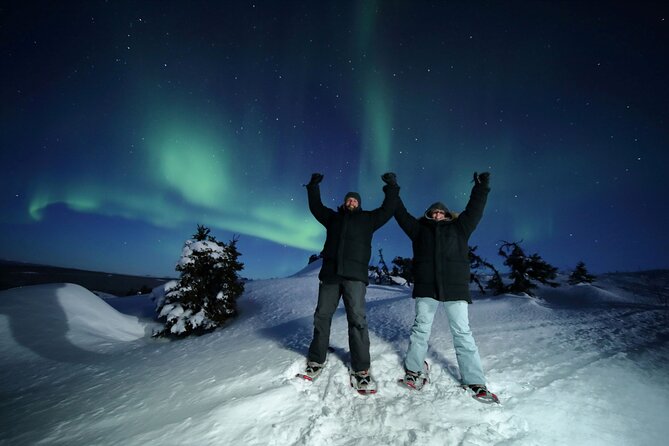 Electric Moose Studios Aurora Adventure W/Portraits & Hot Pizza!! - Starting at 9 p.m. in Fairbanks
