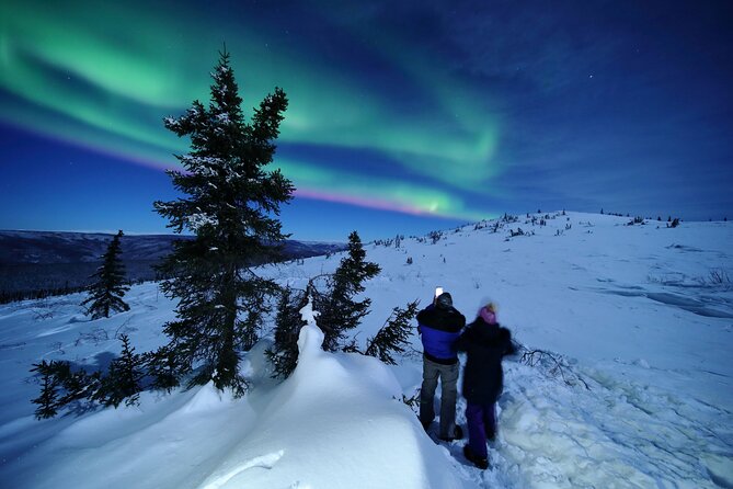 Electric Moose Studios Aurora Adventure W/Portraits & Hot Pizza!! - Learning the sky while you wait
