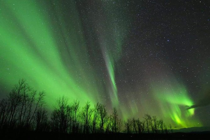 Enjoy the Aurora show on top of the mountain inc tipi dinner - Arctic clothing and staying comfortable