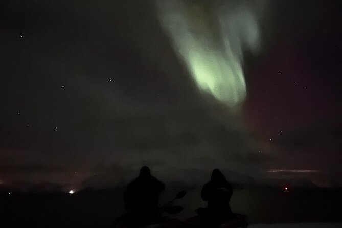 Evening Tour and Aurora Borealis Sightseeing in Norway by ATV - Hunting for the Northern Lights at Leirbotn