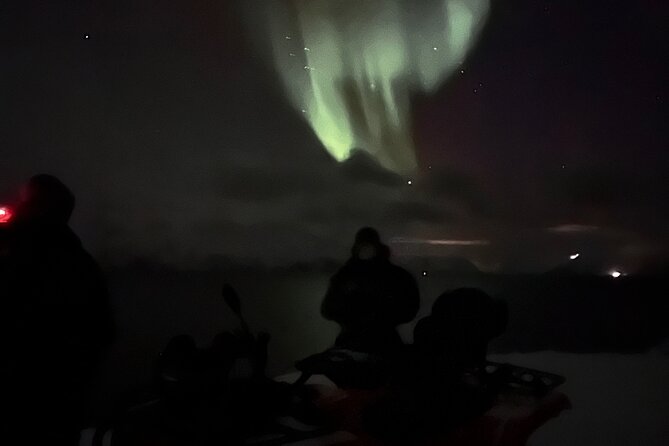 Evening Tour and Aurora Borealis Sightseeing in Norway by ATV - Who should book this experience?