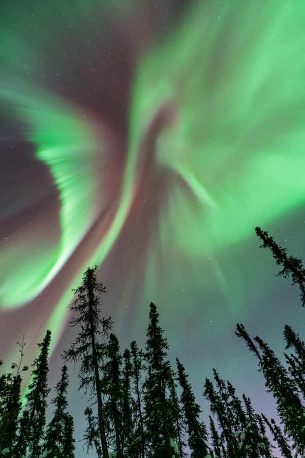 Fairbanks: Aurora Borealis Northern Lights Tour - A moving base camp for a six-hour night