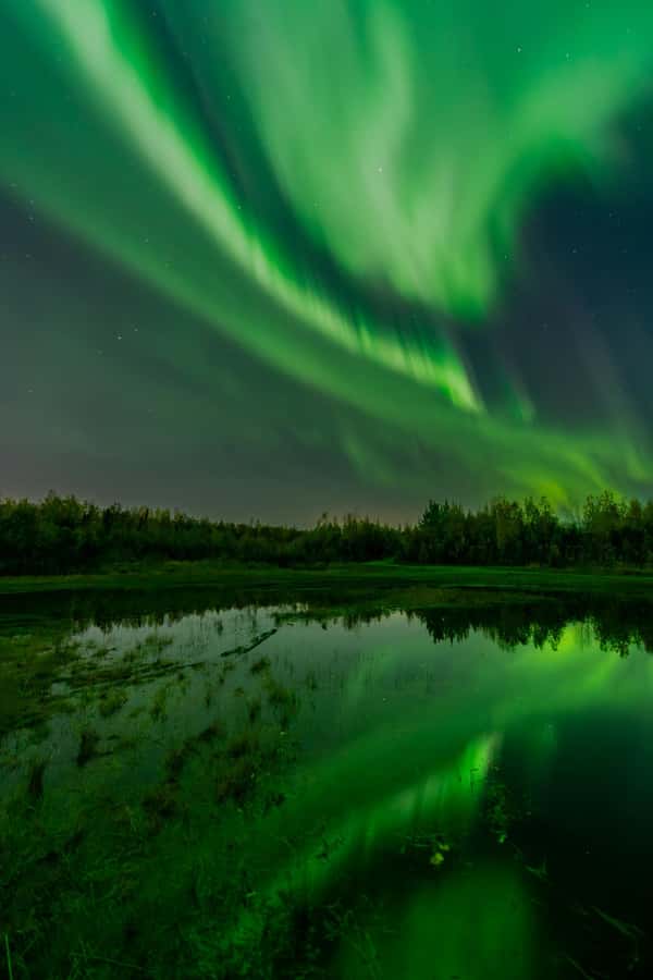 Fairbanks: Aurora Borealis Northern Lights Tour - Leaving Fairbanks between 8 and 11 PM