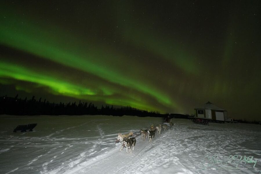 Fairbanks: Moonlight Dog Sled, Dinner & Northern Lights - Key details to know before you book