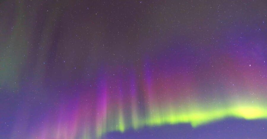 Fairbanks: Moonlight Dog Sled, Dinner & Northern Lights - A moonlit start in the Fairbanks winter