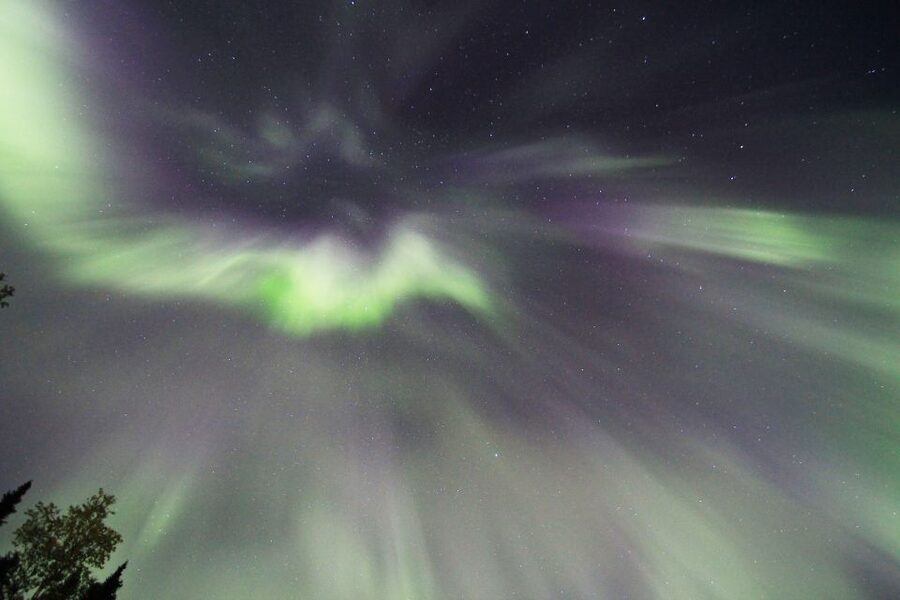 Fairbanks: Moonlight Dog Sled, Dinner & Northern Lights - What the 30-minute dog-sled ride feels like