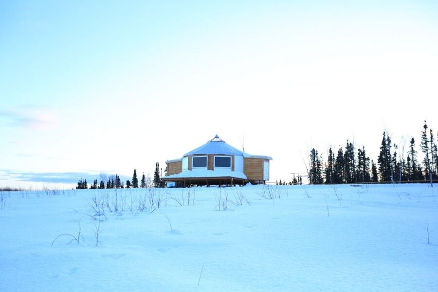 Fairbanks: Moonlight Dog Sled, Dinner & Northern Lights - Guides who shape the evening