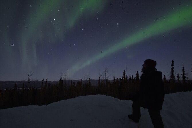 Fairbanks Northern Lights Adventure with free Aurora portraits - Who will appreciate this tour most
