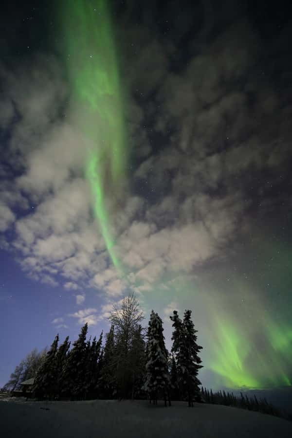 Fairbanks: Northern Lights Adventure with Photos & HOT PIZZA - Who should book this experience?