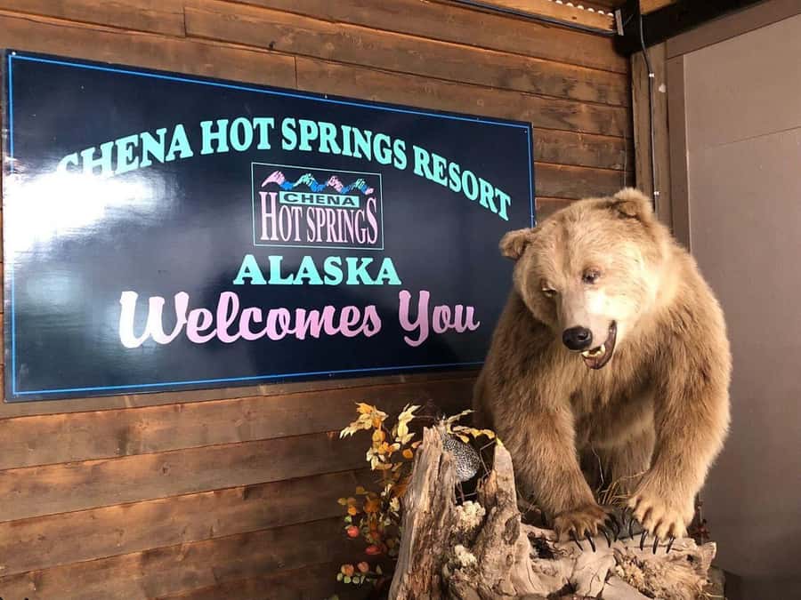 Fairbanks: Northern Lights and Chena Hot Springs Tour - Key points to know before you go