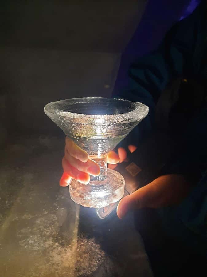 Fairbanks: Northern Lights and Chena Hot Springs Tour - Dinner timing and the best use of your evening