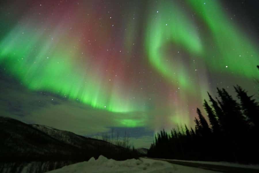 Fairbanks: Northern Lights and Chena Hot Springs Tour - Who will get the most from this tour