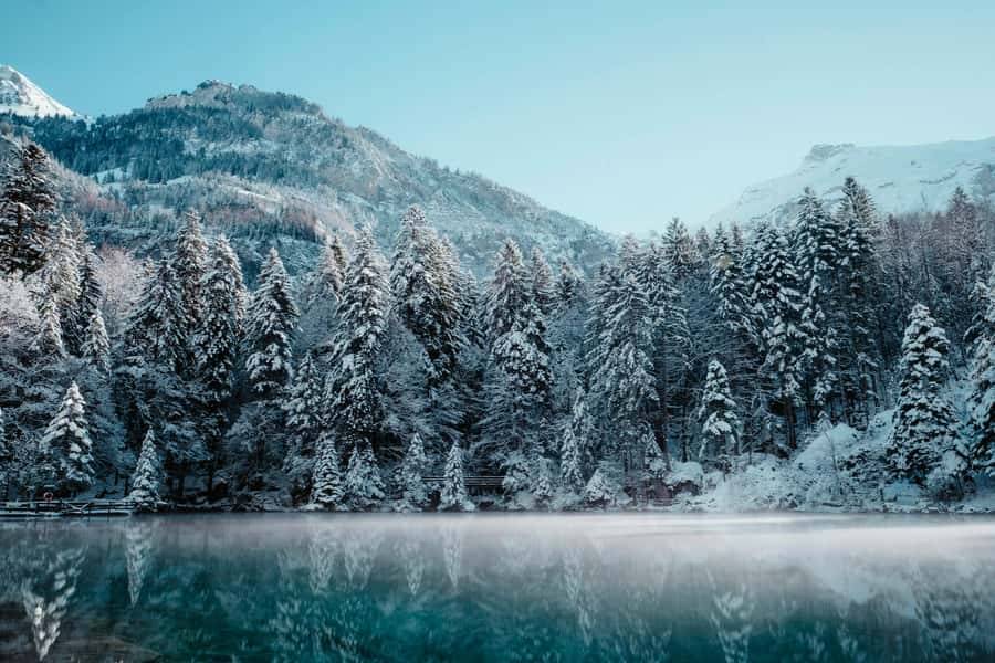 Fairbanks: Northern Lights and Chena Hot Springs Tour - Practical value at $215 per person