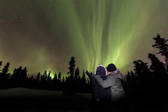 Fairbanks Northern Lights Tour - Key things to know before booking