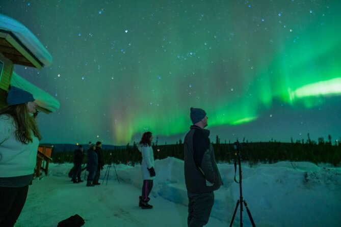 Fairbanks Northern Lights Tour - What the evening can look like