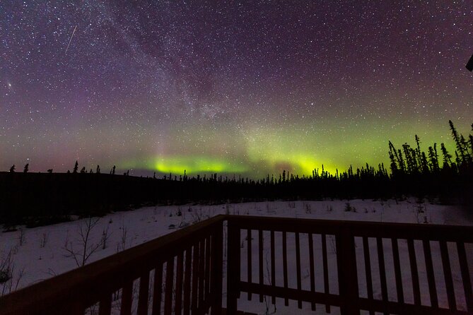 Fairbanks Northern Lights Tour - The photography help is a real advantage