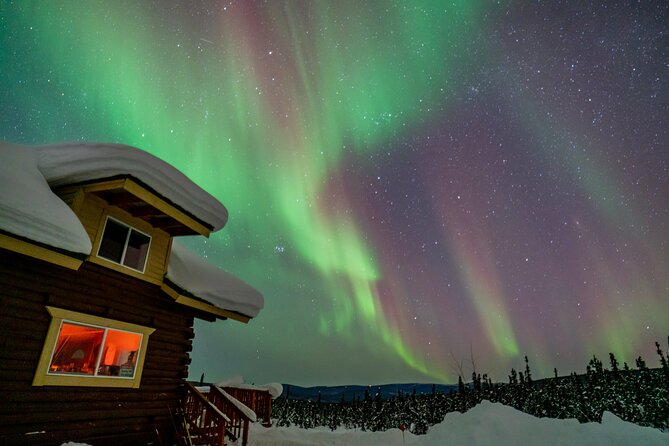 Fairbanks Northern Lights Tour - Is $354.25 a fair price?