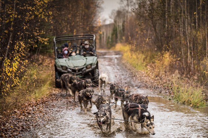 Fall Aurora Mushing Cart Ride Bucket List Adventure - Clothing, timing, and practical planning