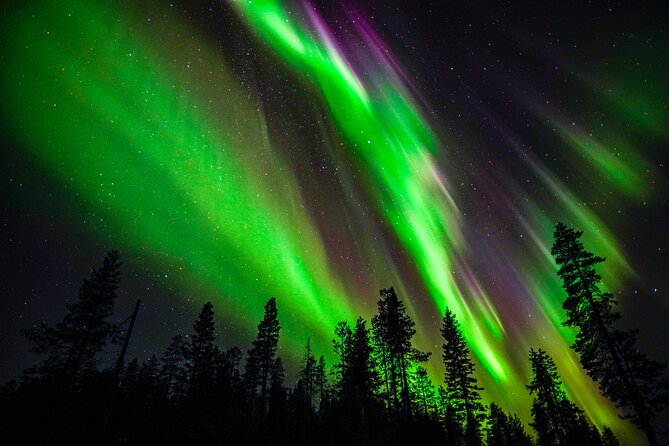 Family-Friendly: Northern Lights Adventure from Rovaniemi - Key points to know before booking