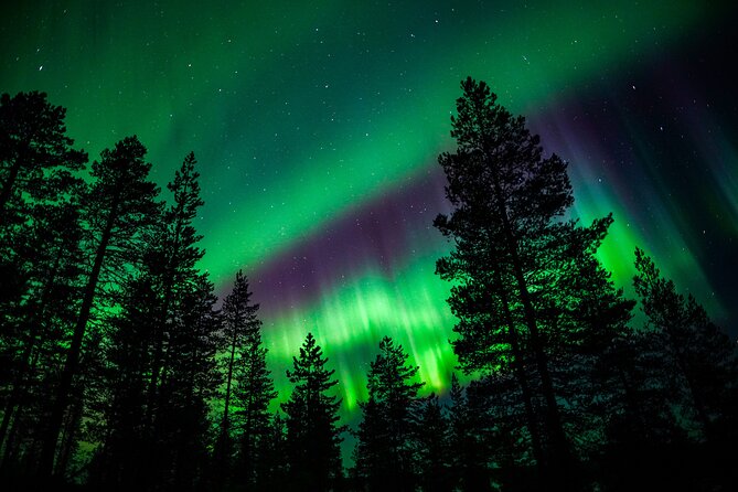 Family-Friendly: Northern Lights Adventure from Rovaniemi - Why the eight-person limit helps
