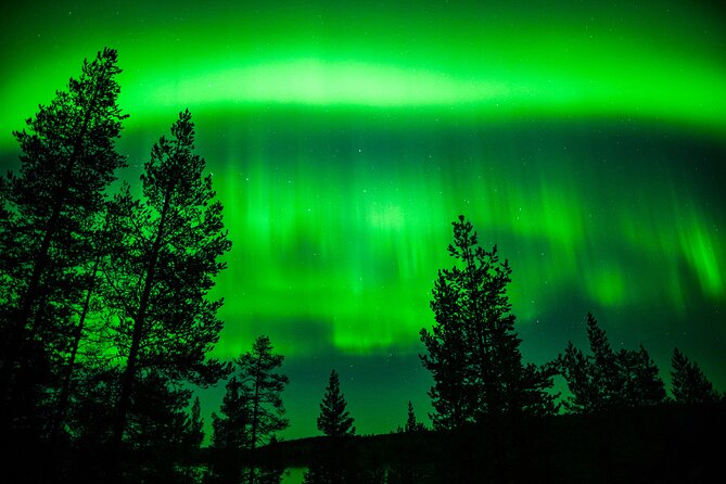 Family-Friendly: Northern Lights Adventure from Rovaniemi - A three-hour schedule that suits children