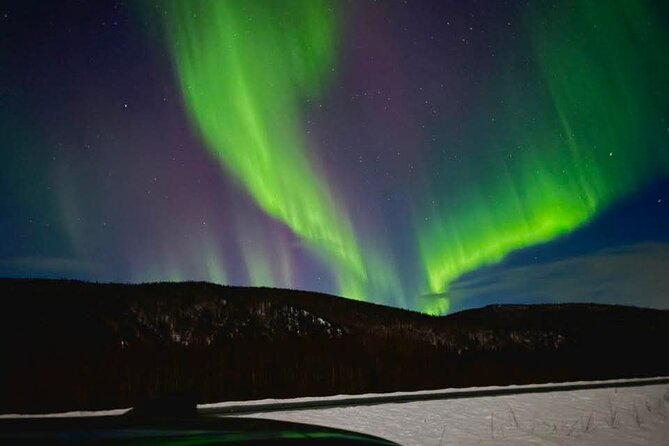 Fire & Ice: Chena Hot Springs, Ice Museum + Aurora Adventure - Key points to know before you book