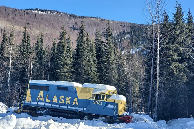 Fire & Ice: Chena Hot Springs, Ice Museum + Aurora Adventure - From Fairbanks to Chena Hot Springs after dark
