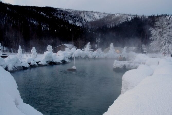 Fire & Ice: Chena Hot Springs, Ice Museum + Aurora Adventure - Dinner at Chena: useful, but budget for it