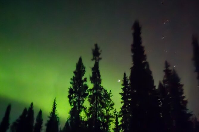 Fire & Ice: Chena Hot Springs, Ice Museum + Aurora Adventure - Should you book Fire & Ice?