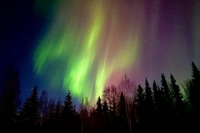 Fire & Ice: Chena Hot Springs, Ice Museum + Aurora Adventure - Inside the Ice Museum and its frozen bar