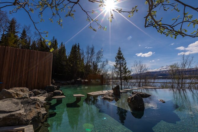 Forest Lagoon and Northern Lights Guided Night Tour - Why this Akureyri evening works so well