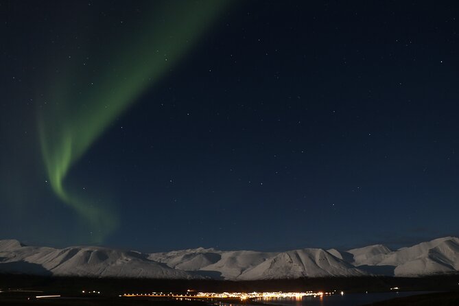 Forest Lagoon and Northern Lights Guided Night Tour - What $176 includes, and what it does not