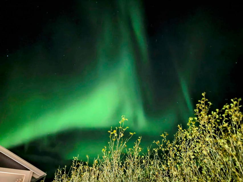 From Akureyri: Northern Lights Tour - Price and value at $132