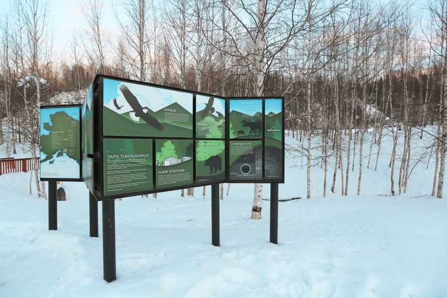 From Fairbanks: Arctic Circle Northern Lights Full-Day Trip - A 1 PM start for Alaska’s far north