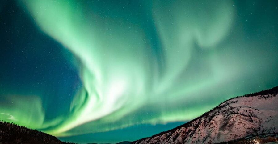 From Fairbanks: Arctic Circle Northern Lights Full-Day Trip - The Trans-Alaska Pipeline, an engineering lesson beside the road