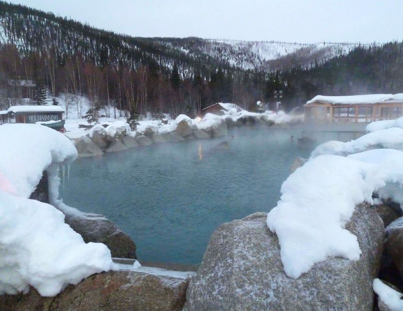 From Fairbanks: Chena Hot Springs Northern Lights Tour - Dinner, Waiting, and Resort Time