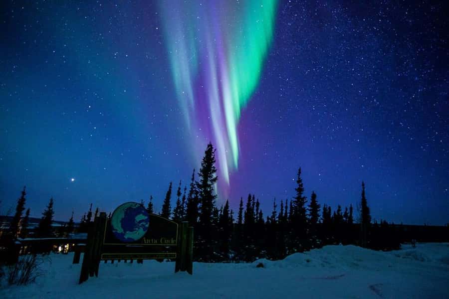 From Fairbanks: Northern Lights and Arctic Circle Tour - Key points to know before you go