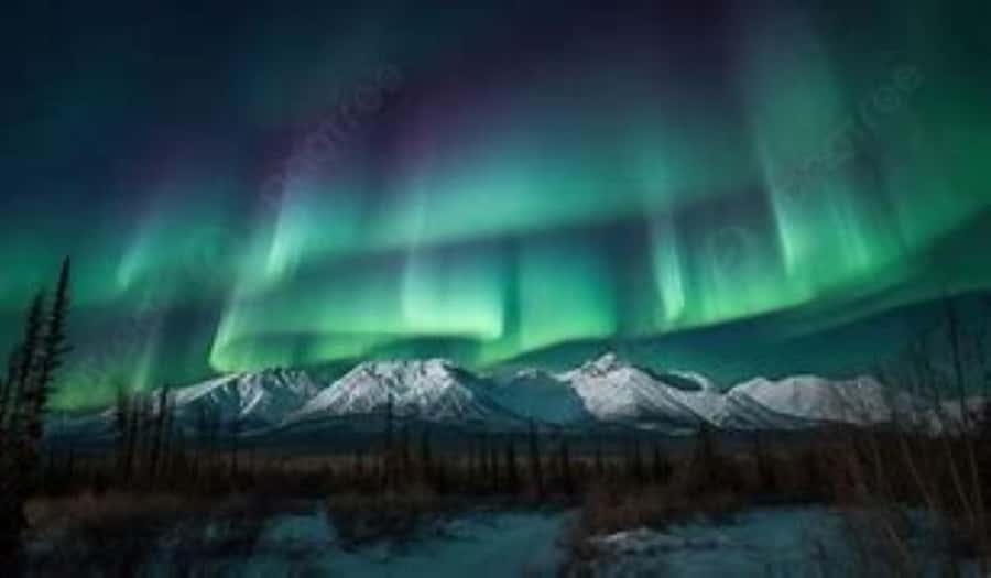From Fairbanks: Northern Lights and Arctic Circle Tour - What the long drive feels like