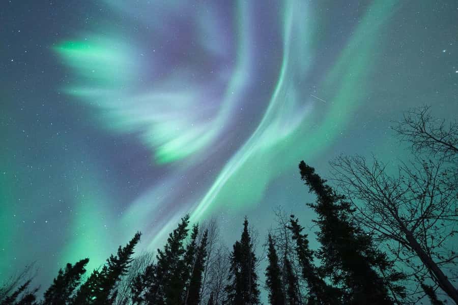 From Fairbanks: Northern Lights and Arctic Circle Tour - Food, clothing, and comfort