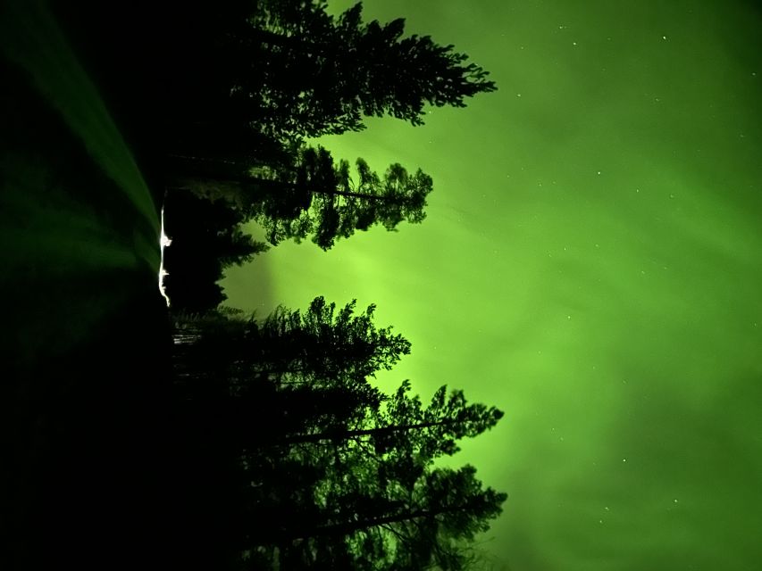 From Kiruna: Abisko National Park Northern Lights Tour - Getting good Northern Lights photos