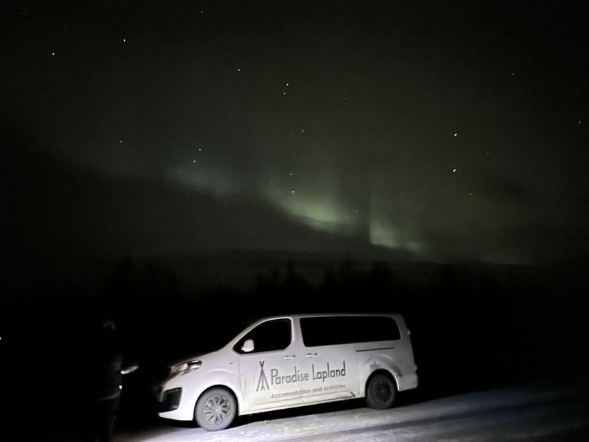 From Kiruna: Abisko National Park Northern Lights Tour - A warm break with lingonberry juice and cake
