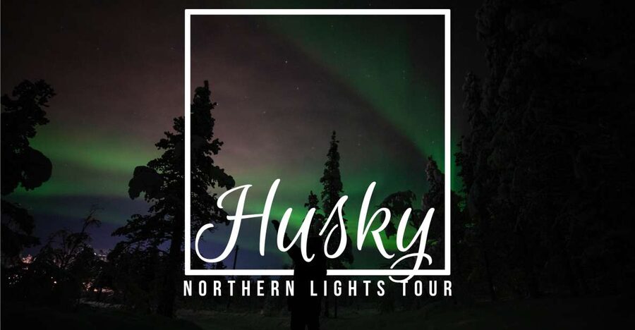 From Kiruna: Northern Lights Guided Husky Sledding Adventure - Key points at a glance