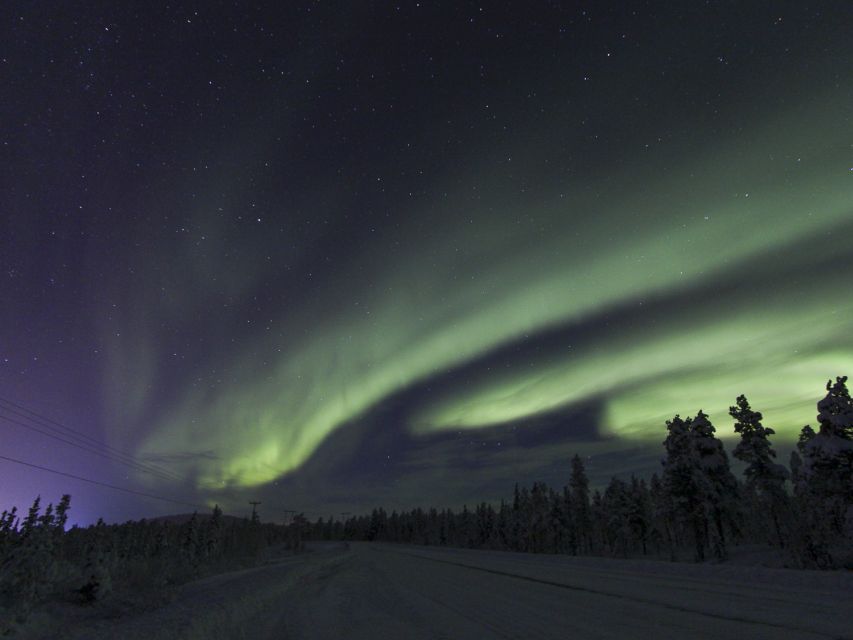 From Kiruna: Northern Lights Guided Husky Sledding Adventure - Why driving the sled changes the experience