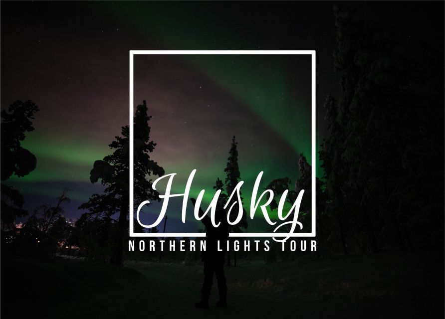 From Kiruna: Northern Lights Guided Husky Sledding Adventure - Getting ready for the dogs and the cold