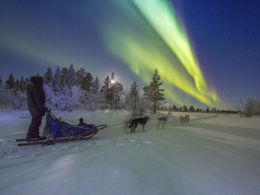 From Kiruna: Northern Lights Guided Husky Sledding Adventure - Is $276 a fair price?