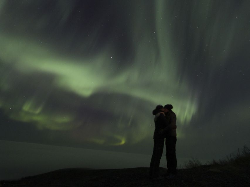 From Kiruna: Northern Lights Guided Husky Sledding Adventure - From Kiruna to Kalixforsbron in 30 minutes
