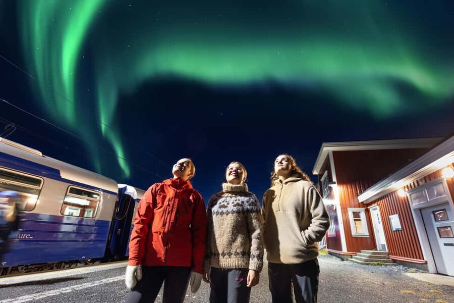 From Narvik: The Northern Lights Arctic Train Guided Tour - The railway stories add real substance