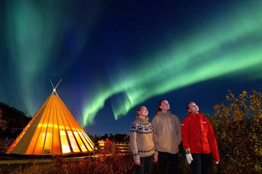 From Narvik: The Northern Lights Arctic Train Guided Tour - Is $156 a fair price?